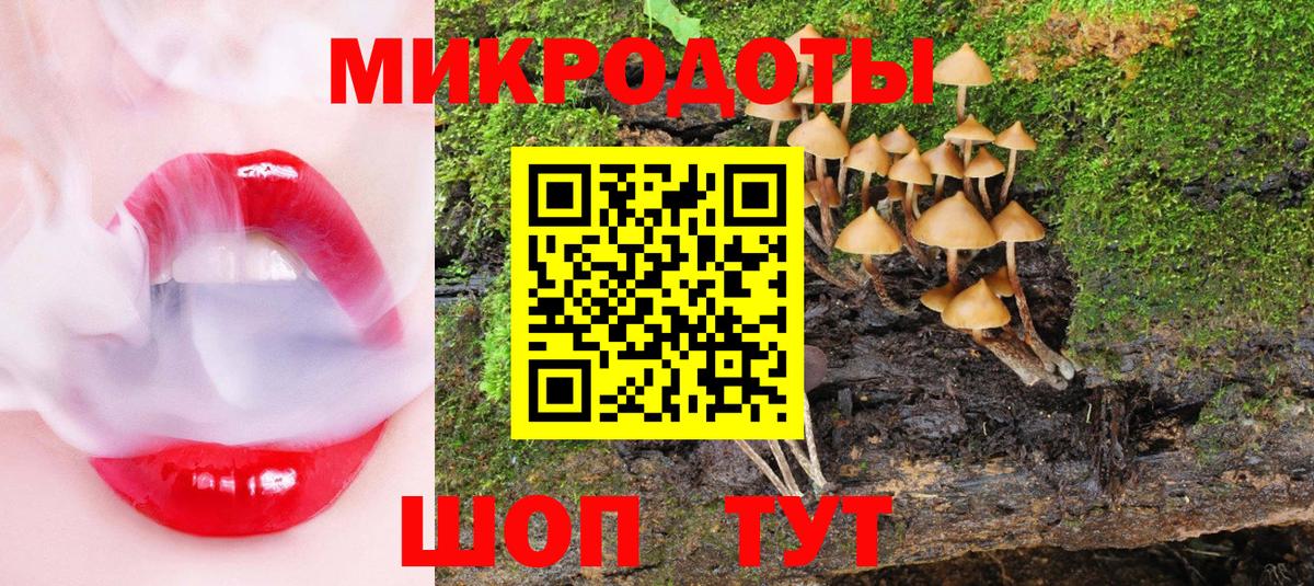 Галлюциногенные грибы Psilocybe Мыски
