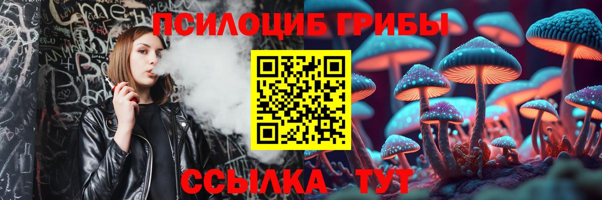 Мыски  Псилоцибиновые грибы GOLDEN TEACHER  Вход с VPN  Галлюциногенные грибы Magic Shrooms 